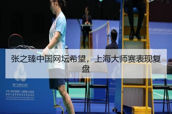 张之臻中国网坛希望，上海大师赛表现复盘